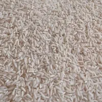 برنج هاشمی|خوردنی و آشامیدنی|سنگر, |دیوار