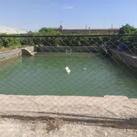 3هکتار گلخانه اسپانیایی با سند شش دانگ|فروش دفتر صنعتی، کشاورزی، تجاری|ورامین, ورامین|دیوار