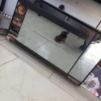 توستر دسی لوکس