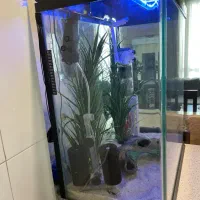 ست کامل آکواریوم با تجهیزات حرفهای|ماهی|تهران, قیطریه|دیوار