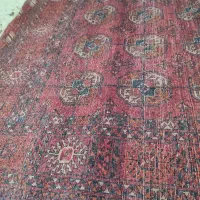 قالیچه|گلیم، جاجیم، گبه|قرچک, باقرآباد|دیوار