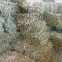 یونجه  خوش خوراکو سبز