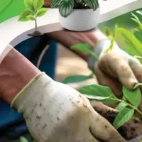 تعویض خاک گلدان ،فروش خاک برگ ،ورمی کمپوست