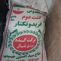 برنج هاشمی درجه یک