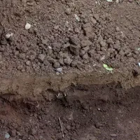 فروش-فوری-زمین-صنعتی