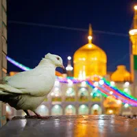 تور ریلی مشهد الرضا ویژه پاییز