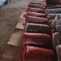 فروش و توزیع ذرت علو فه ای