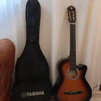 گیتار دیاموند نو