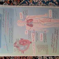 زیست تصویری دهم