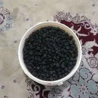 تمشک تازه چین