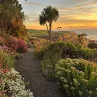 تفریح جوانرود