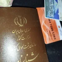 مدارک گمشده محمد اسماعیل عابدی پیدا شده