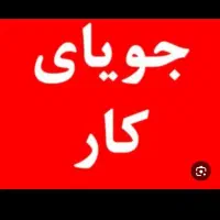 جویای کار برای خانم|فعالیت داوطلبانه|یزد, |دیوار