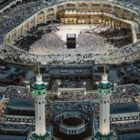 فروش فوری یک عددفیش حج