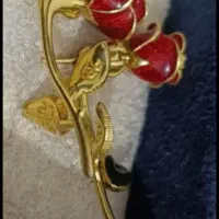 طلایِ شیک و خاص فقط ۱%