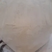 حلزون فروشی|خزنده|لاهیجان, گلستان|دیوار