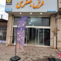 تنها وبی رقیب در استان