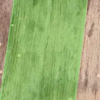 زمین-کشاورزی-اجاره-ای