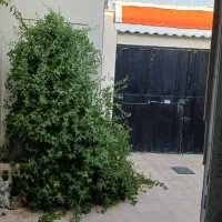 خانه‌ ویلایی‌ تمیز‌ مرتب‌ جاده‌ کلات|فروش خانه و ویلا|مشهد, فرخد|دیوار