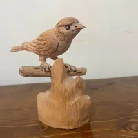 مجسمه قناری نفیس|مجسمه، تندیس، ماکت|شیراز, نشاط|دیوار