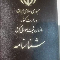 گمشده