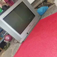 الجی سالم قیمت دومیلیون سالمه رنگی