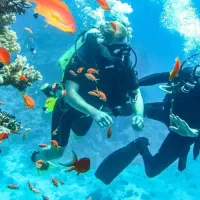 تور ۲ شب و ۳ روز/ کیش