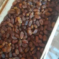 کار در منزل برای خانم های عزیز