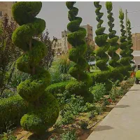 خدمات باغبانی
