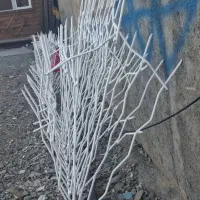 درب باغی دوعدد فوری|خدمات پیشه و مهارت|پاکدشت, پاکدشت (مامازند)|دیوار