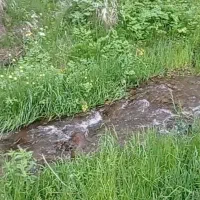فروش زمین باغی ویلایی