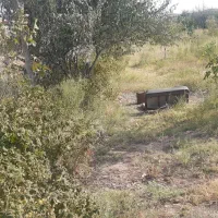 باغ و زمین بالاتر از نوایی از زمینهای حاشیه رود