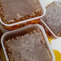 عسل طبیعی سبلان|خوردنی و آشامیدنی|رشت, بوسار|دیوار