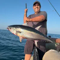 ماهیگیری در کیش|ماهیگیری|کیش, |دیوار