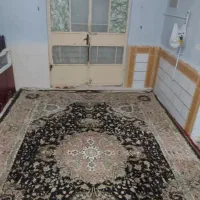 قالی درحد نو