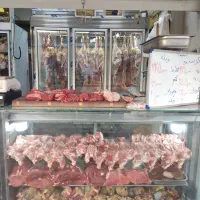 مشارکت و سرمایه