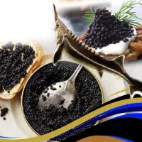 خاویار سلطنتی درجه یک صادراتی