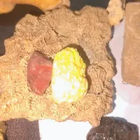 سنگ اول ا رنگ های مختلف میشه مخصوصا بنفش|جواهرات|تهران, دروازه شمیران|دیوار