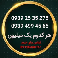 30 شماره رند بیلبوردی دونه ایی یک میلیون تومان