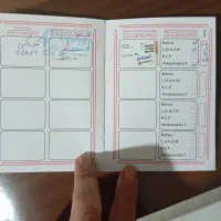 سگ پامرانین|سگ|تهران, فرزانه|دیوار