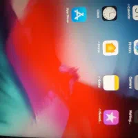 iPad mini2|تبلت|قدس, شهر‌قدس|دیوار