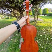 ویالون ،4/4، کارکرد خیلی کم،|ویولن|رامسر, |دیوار