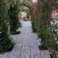 جای دنج مناسب برای دورهمی خانوادگی و جلسات|اجارهٔ کوتاهمدت ویلا و باغ|قائمشهر, |دیوار