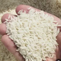 برنج ایرانی درجه یک کشت دوم