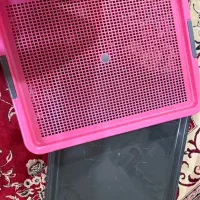 سینی ادرار سگ