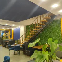 فست فود دلفین(کریم آباد)کمک آشپز خانوم
