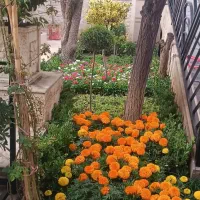 تعویض خاک گلدان کاشت گل و گیاه درختکاری سمپاشی