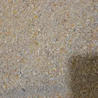 دان بوقلمون|حیوانات مزرعه|مبارکه, |دیوار