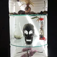 میز ویترین بشکه دکوراسیون