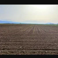 فروش-زمین-کشاورزی-مناسب-باغ-و-باغچه